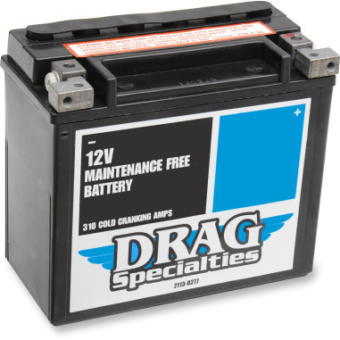 Bateria AGM - Libre de Mantenimiento - H-D Buell